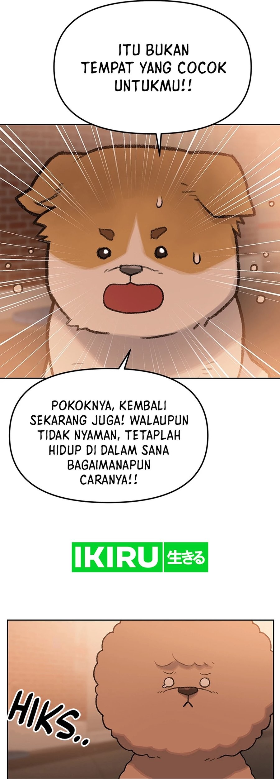 Rainbow Bridge Watchman chapter 25 halaman 11