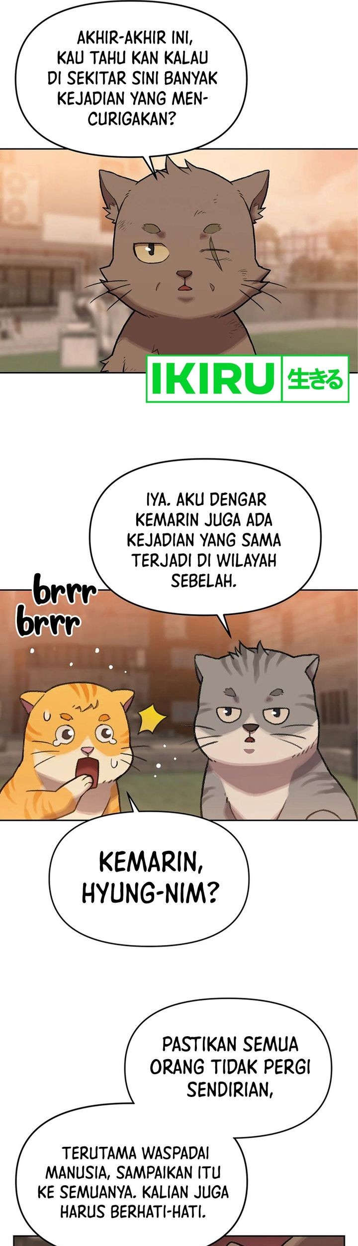 Rainbow Bridge Watchman Bab 42 halaman 31
