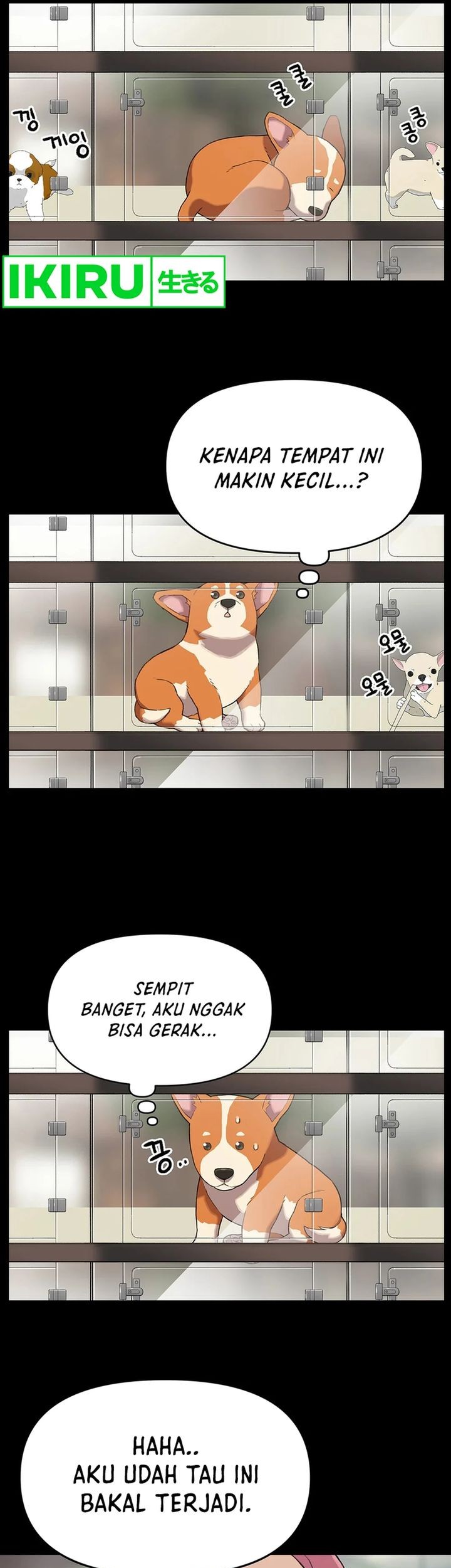 Rainbow Bridge Watchman Bab 47 halaman 5