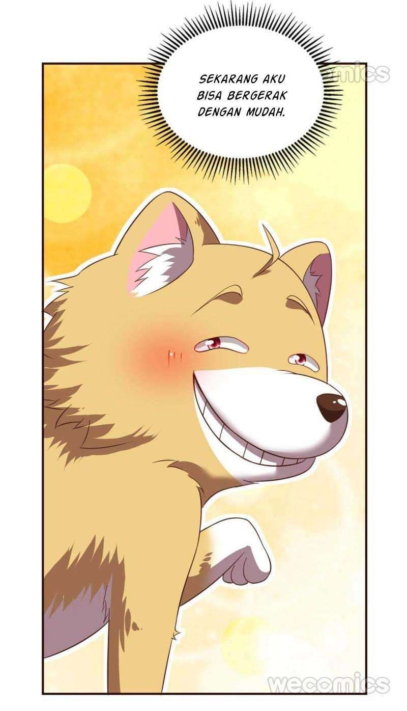 Rebirth Become a Dog chapter 49 halaman 11