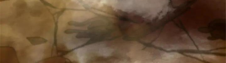 Release That Witch chapter 407 halaman 48