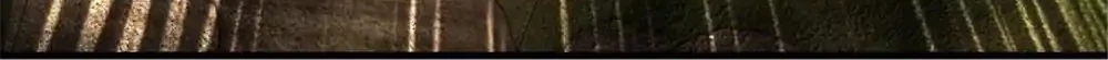 Release That Witch Bab 628 halaman 12