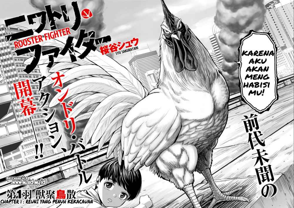 Rooster Fighter Bab 01 halaman 7