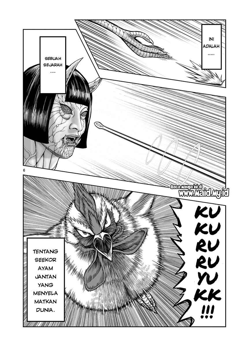 Rooster Fighter Bab 01 halaman 8