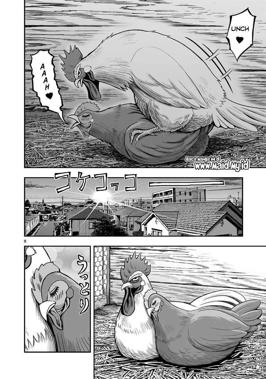 Rooster Fighter Bab 01 halaman 10
