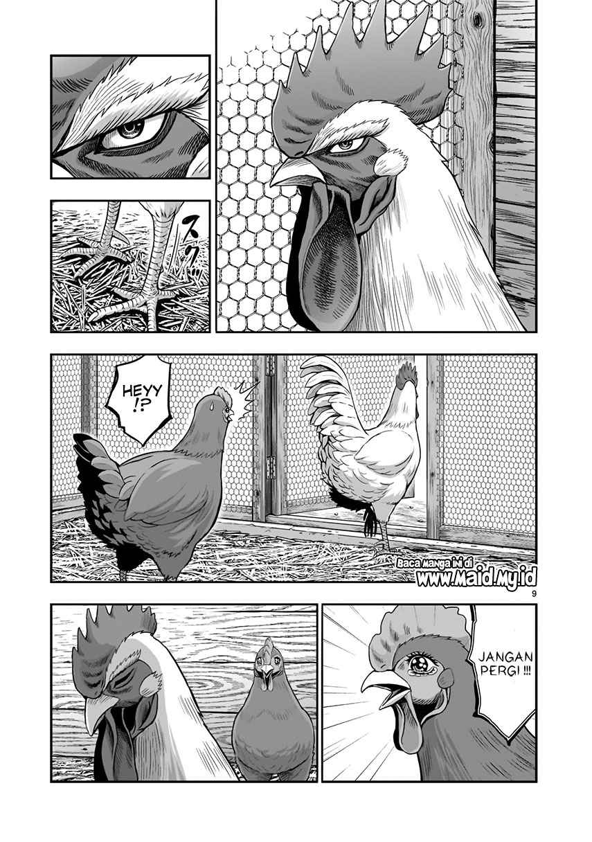 Rooster Fighter Bab 01 halaman 11
