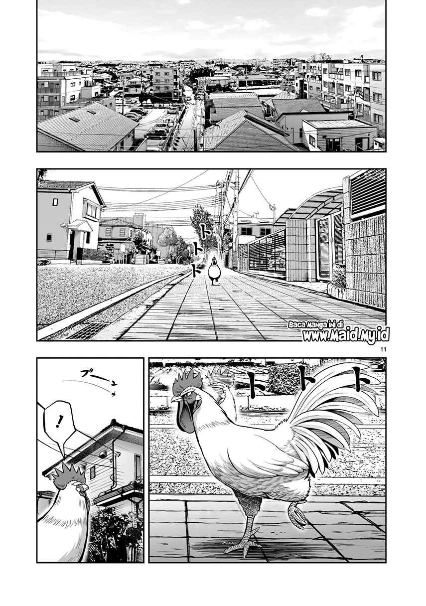 Rooster Fighter Bab 01 halaman 13