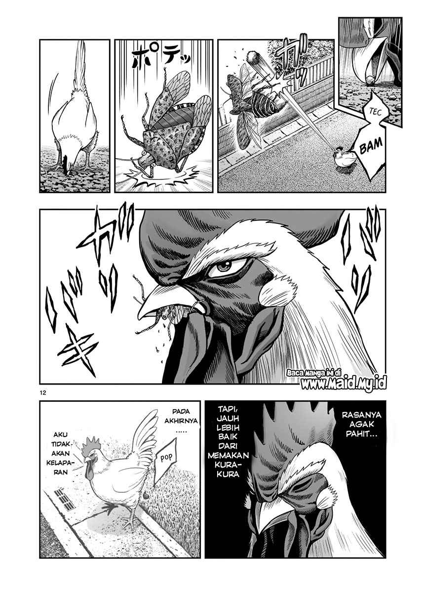 Rooster Fighter Bab 01 halaman 14