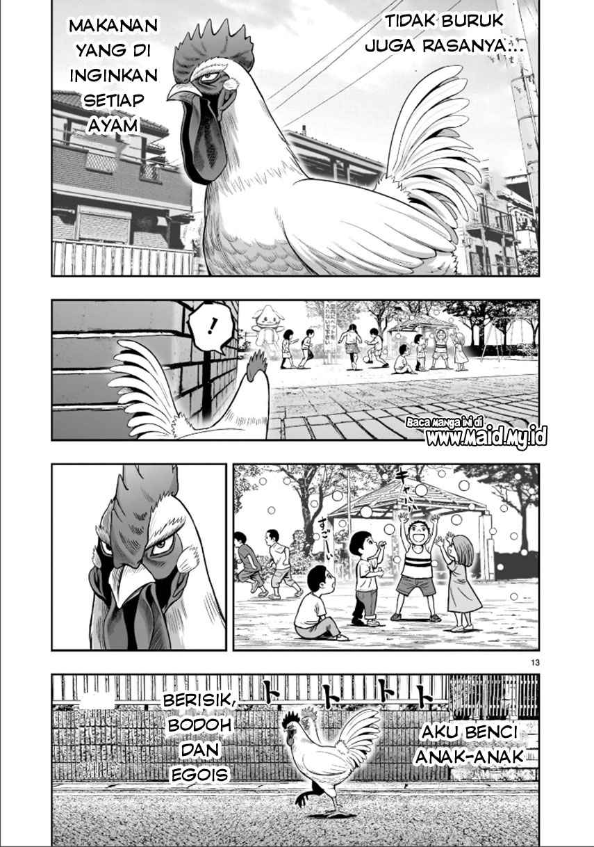 Rooster Fighter Bab 01 halaman 15
