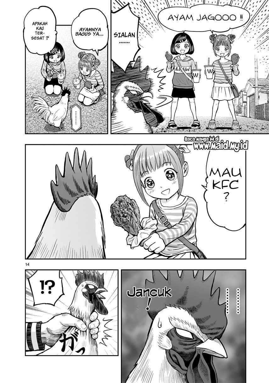 Rooster Fighter Bab 01 halaman 16