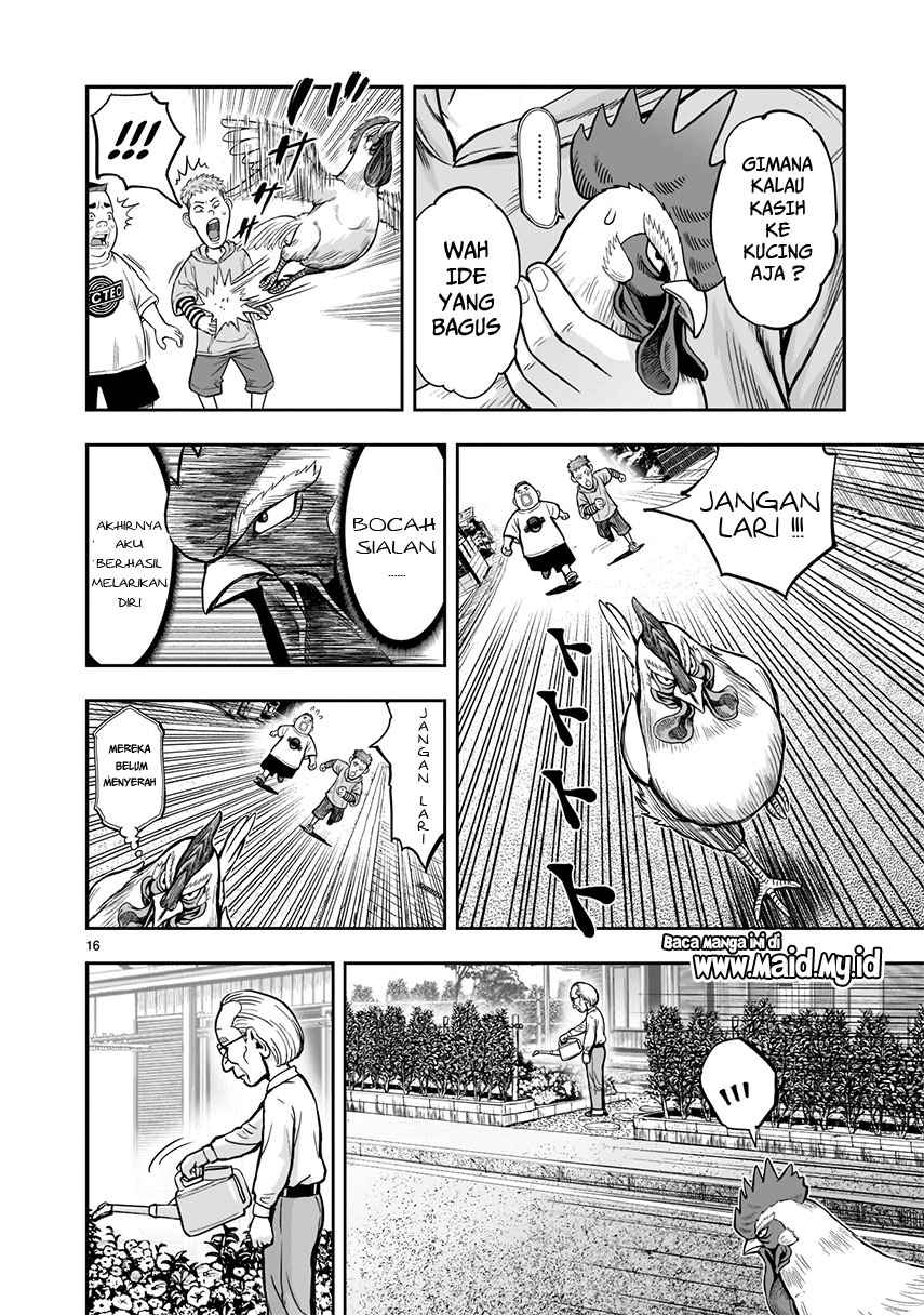 Rooster Fighter Bab 01 halaman 18