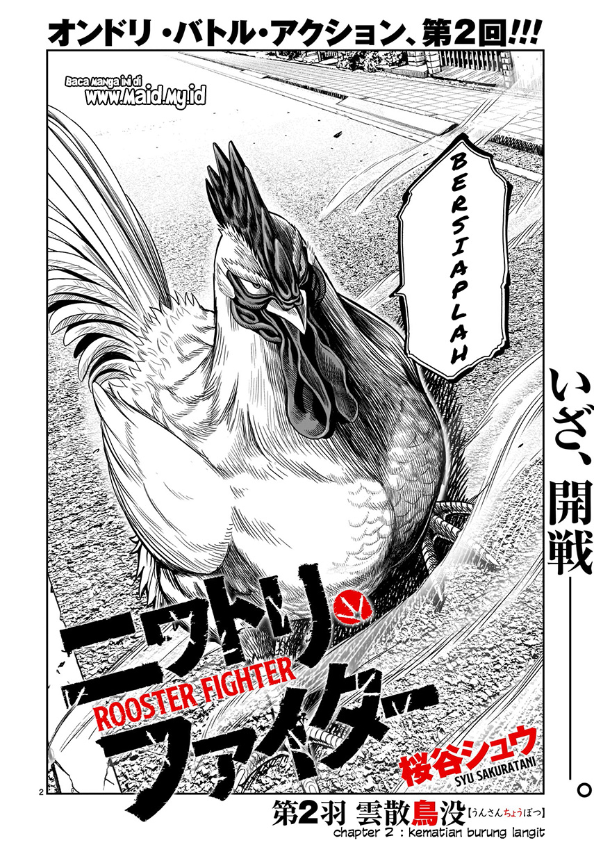 Rooster Fighter Bab 02 halaman 4