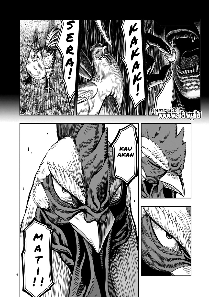 Rooster Fighter Bab 02 halaman 6