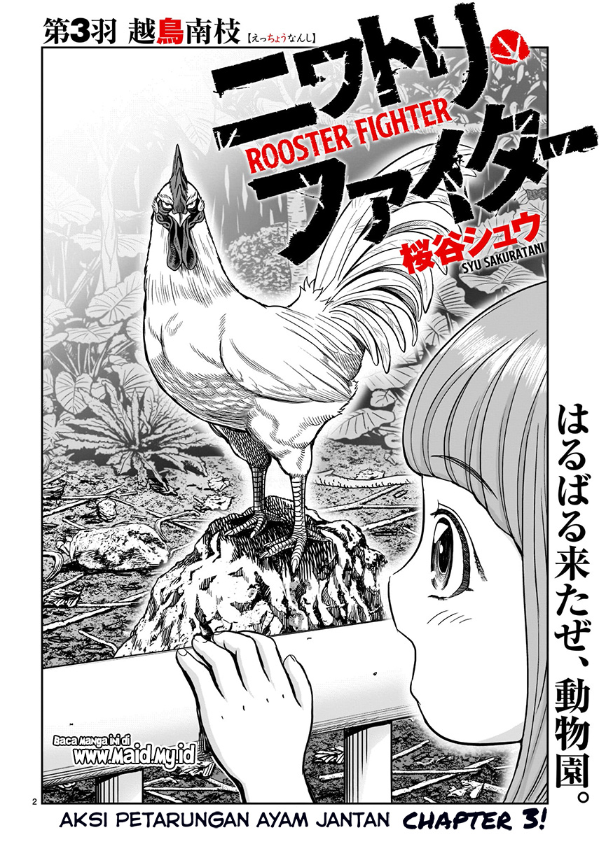 Rooster Fighter Bab 03 halaman 3