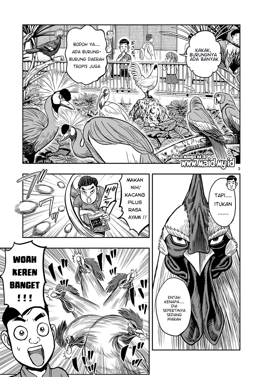 Rooster Fighter Bab 03 halaman 4