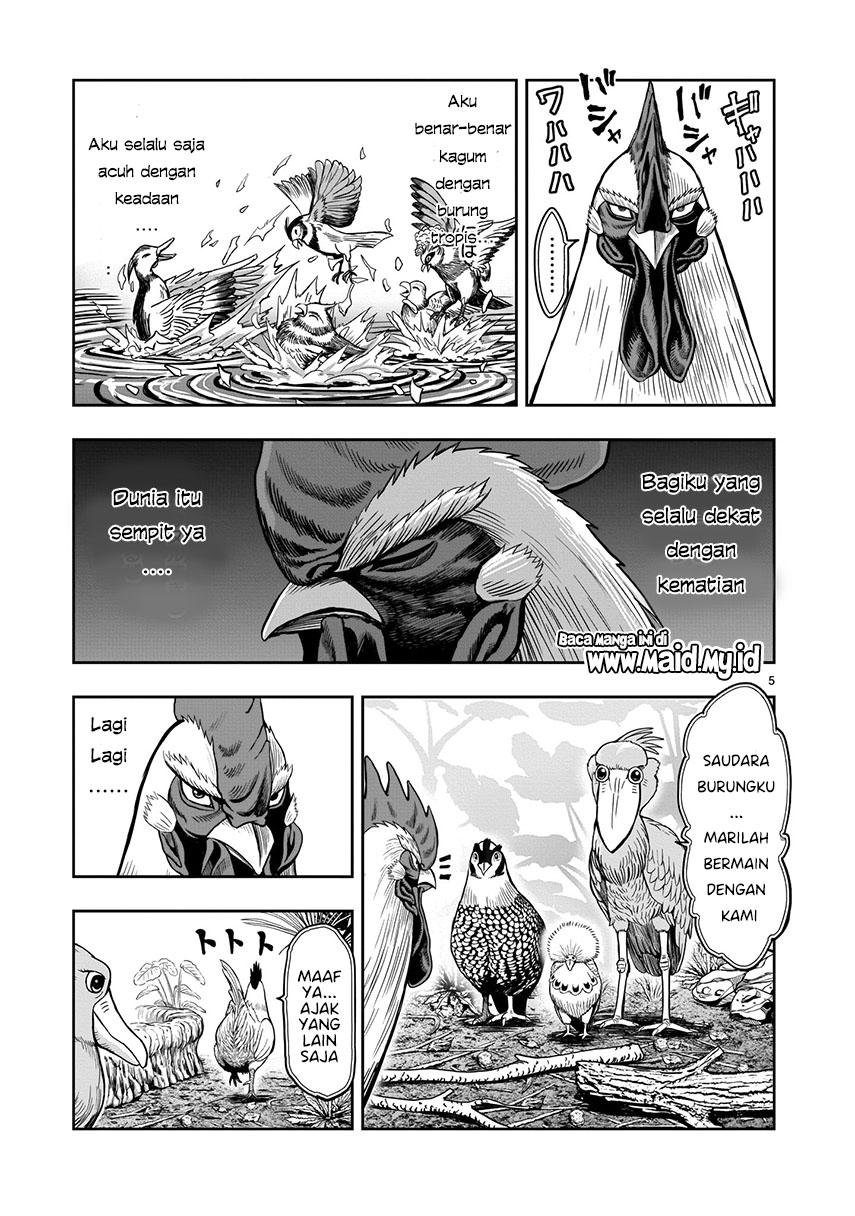 Rooster Fighter Bab 03 halaman 6