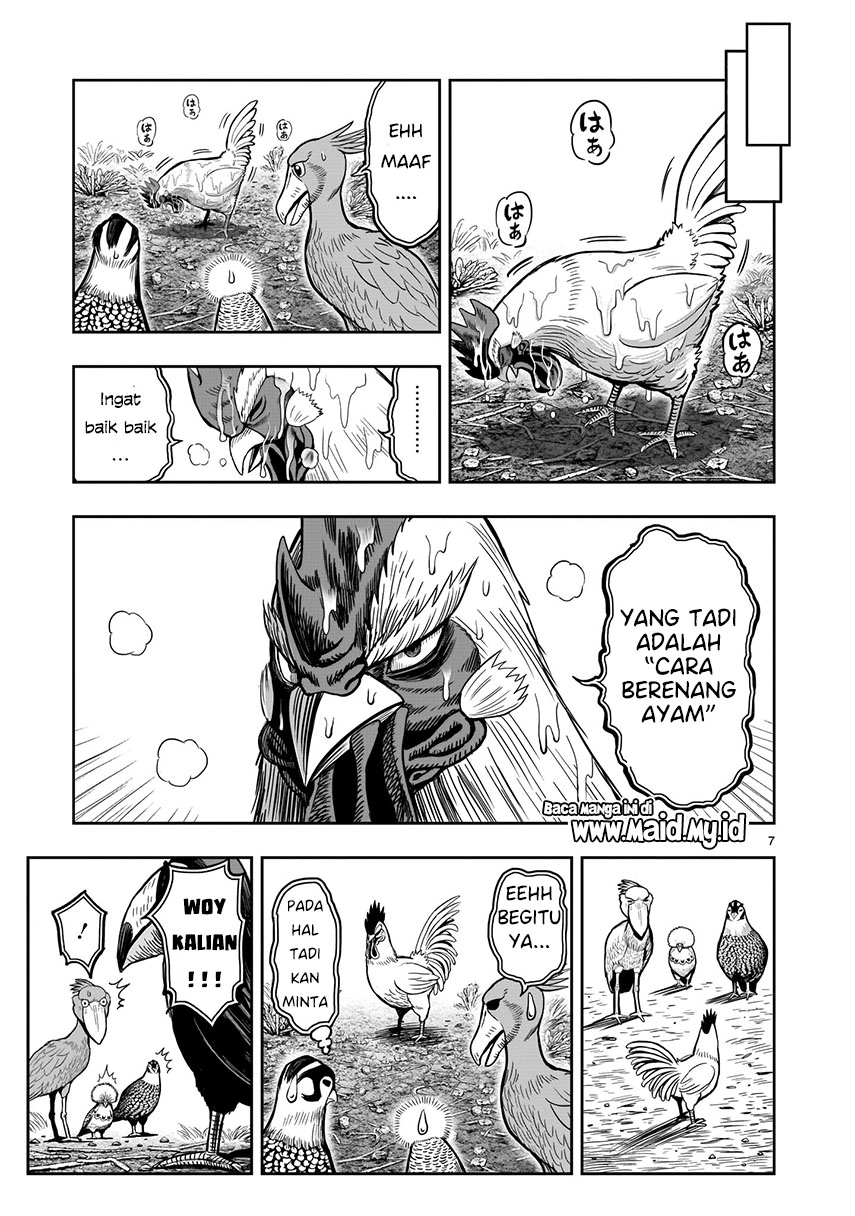 Rooster Fighter Bab 03 halaman 8