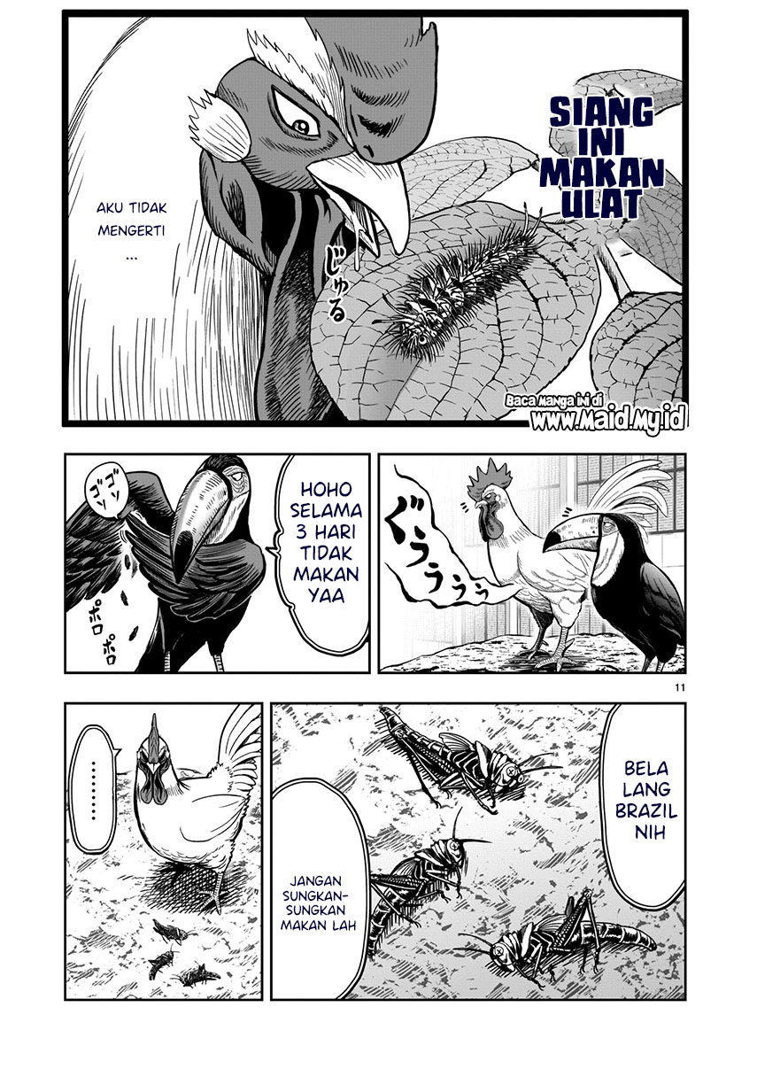 Rooster Fighter Bab 03 halaman 12