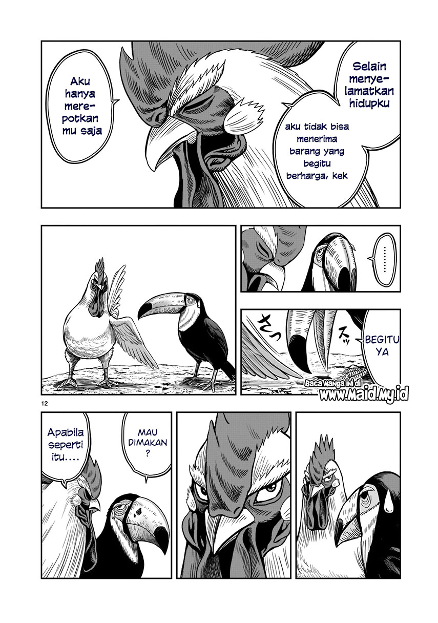 Rooster Fighter Bab 03 halaman 13