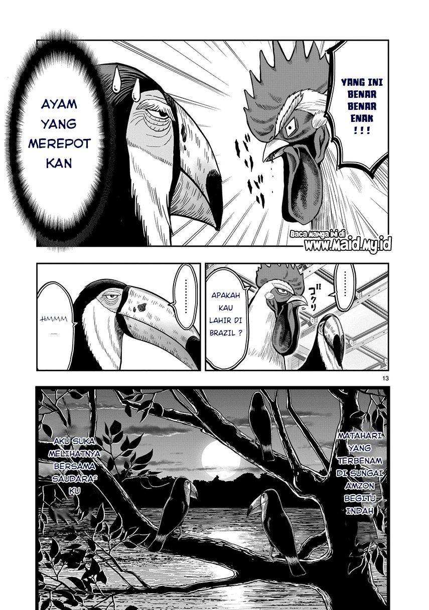Rooster Fighter Bab 03 halaman 14