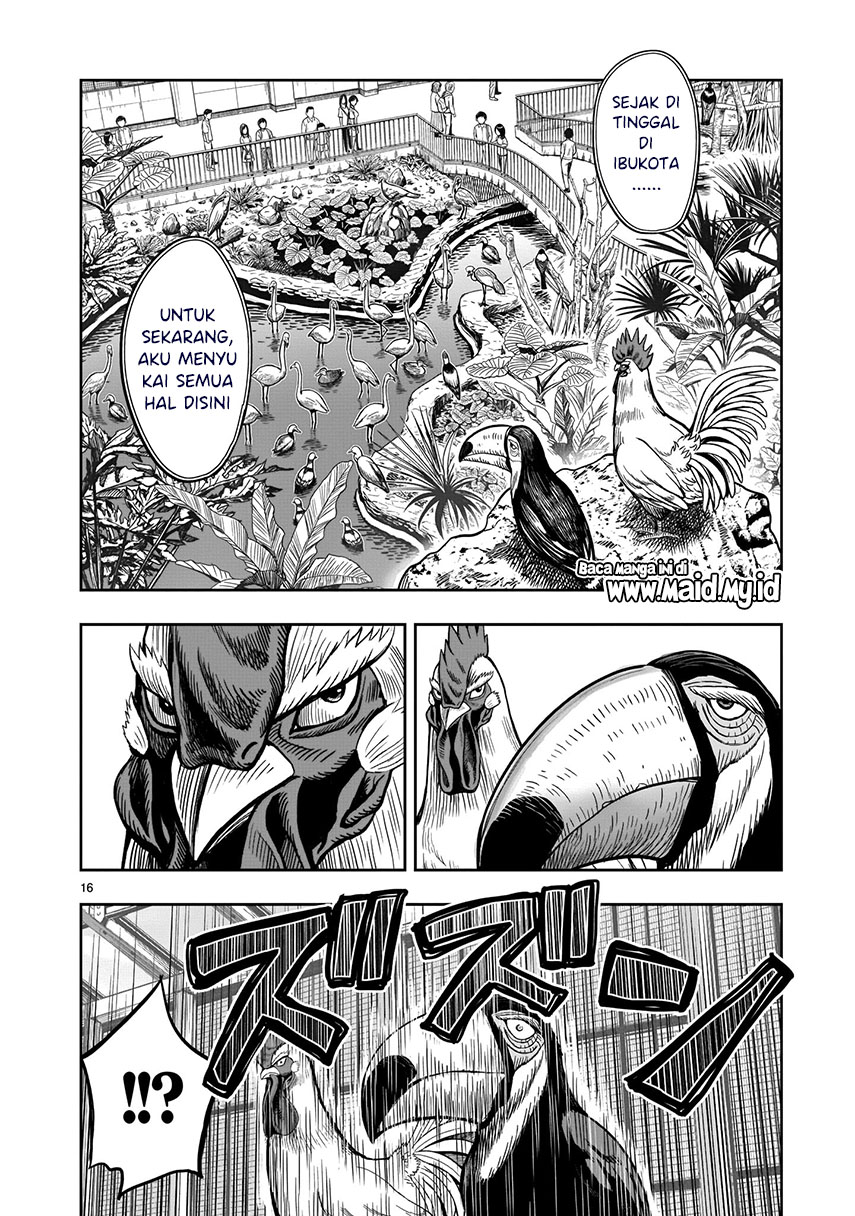 Rooster Fighter Bab 03 halaman 17