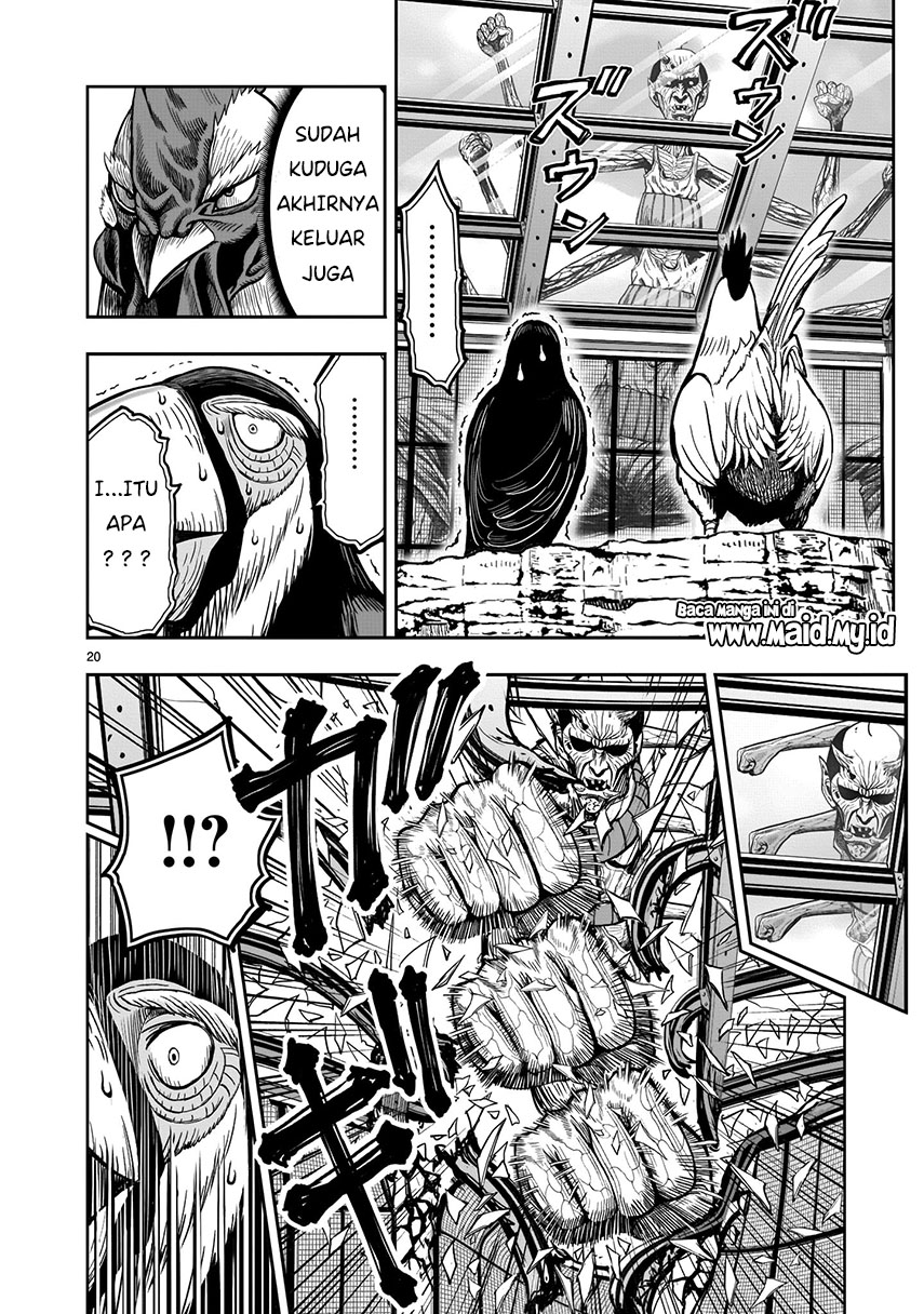 Rooster Fighter Bab 03 halaman 21