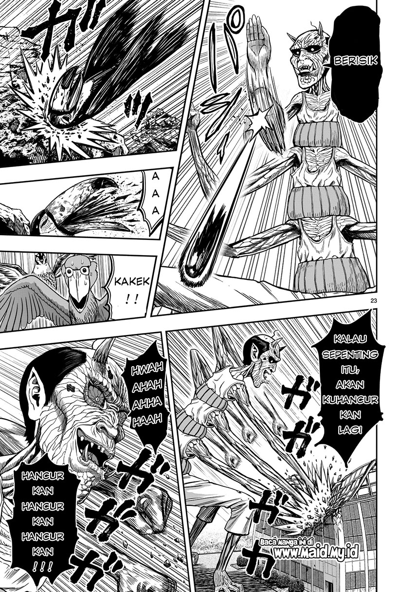 Rooster Fighter Bab 03 halaman 24