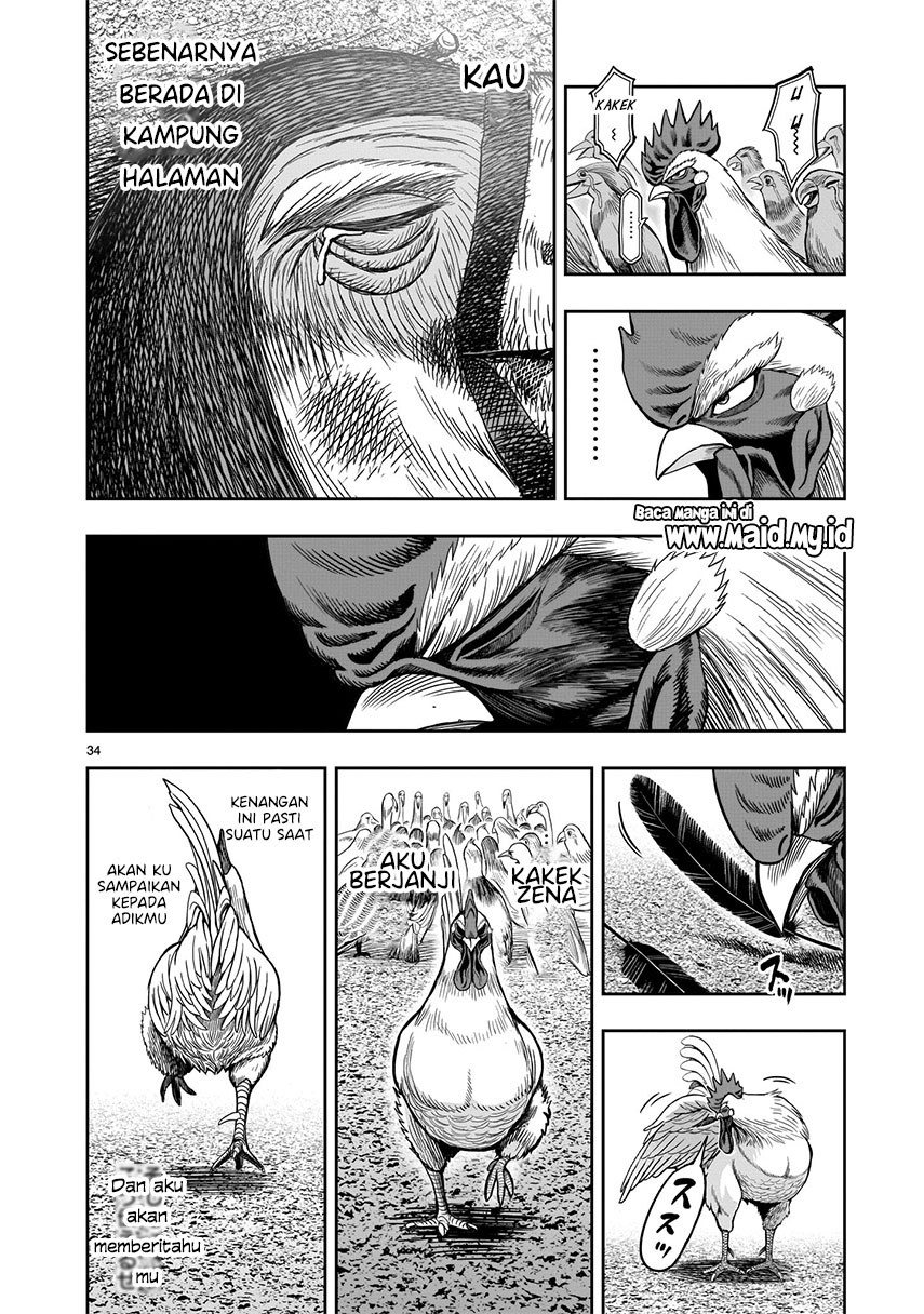 Rooster Fighter Bab 03 halaman 34