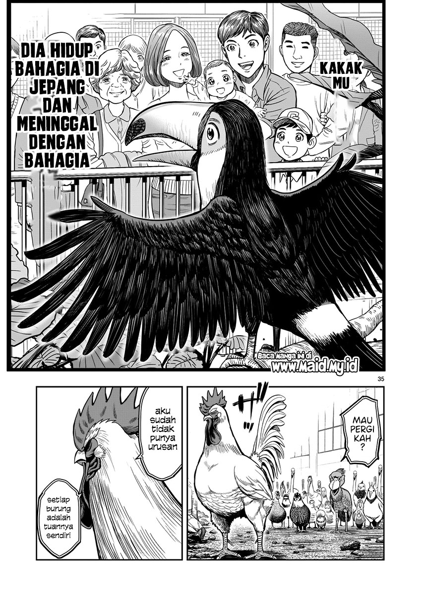 Rooster Fighter Bab 03 halaman 35