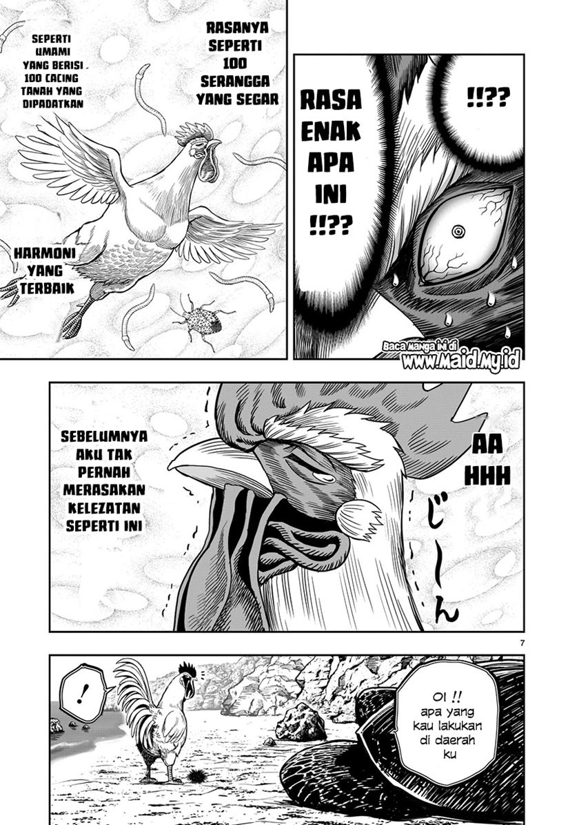 Rooster Fighter Bab 04 halaman 9