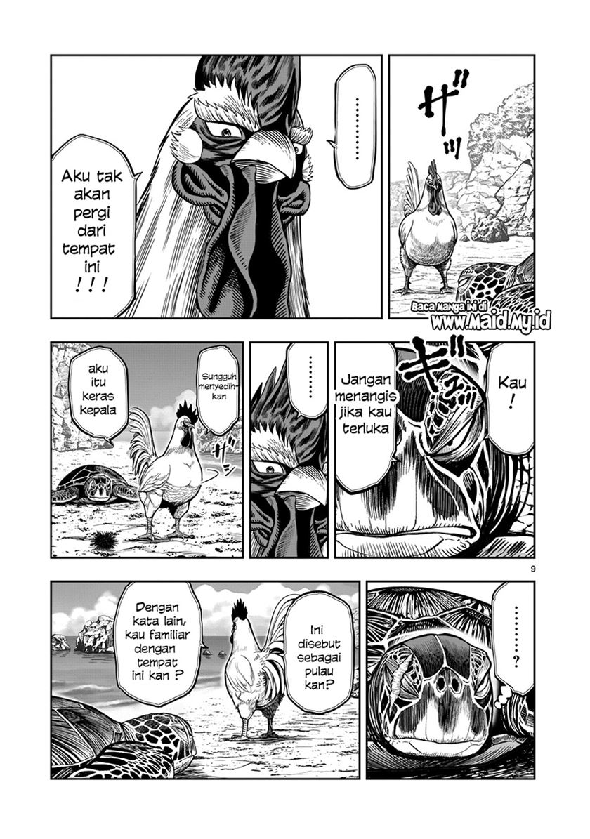 Rooster Fighter Bab 04 halaman 11