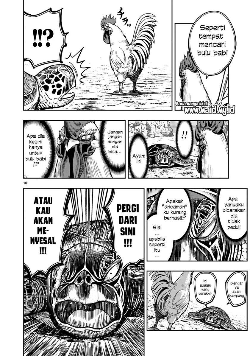 Rooster Fighter Bab 04 halaman 12