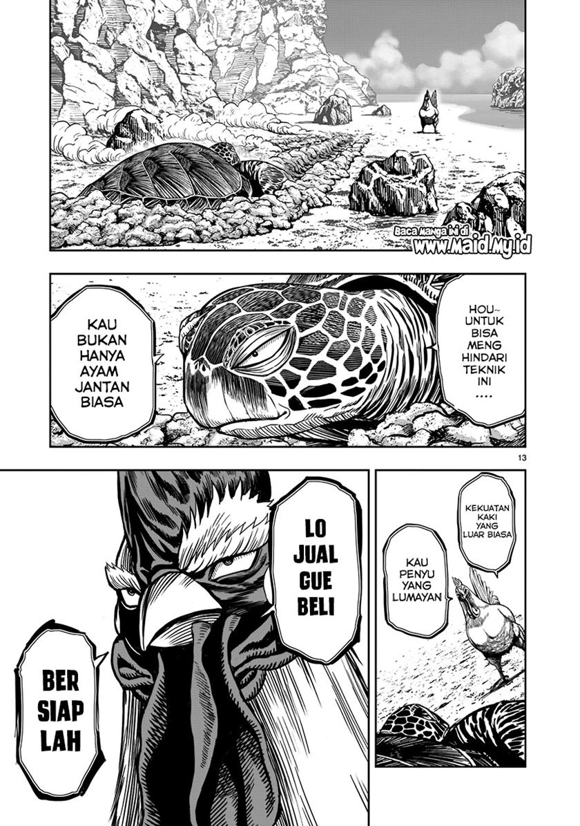 Rooster Fighter Bab 04 halaman 15