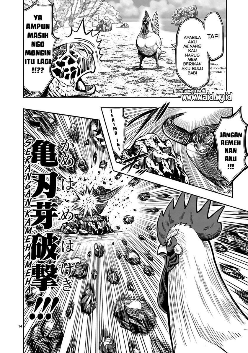 Rooster Fighter Bab 04 halaman 16