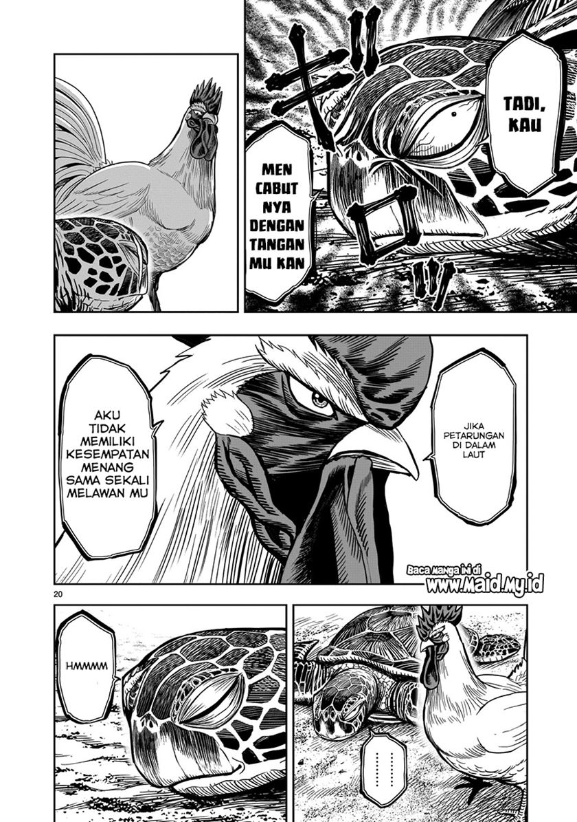 Rooster Fighter Bab 04 halaman 22