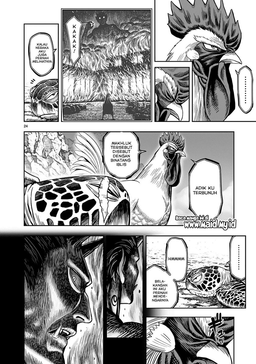 Rooster Fighter Bab 04 halaman 26