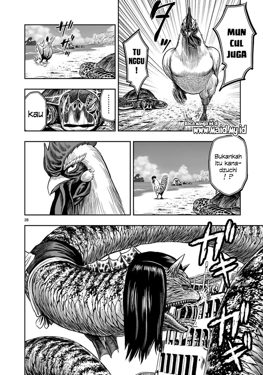 Rooster Fighter Bab 04 halaman 29