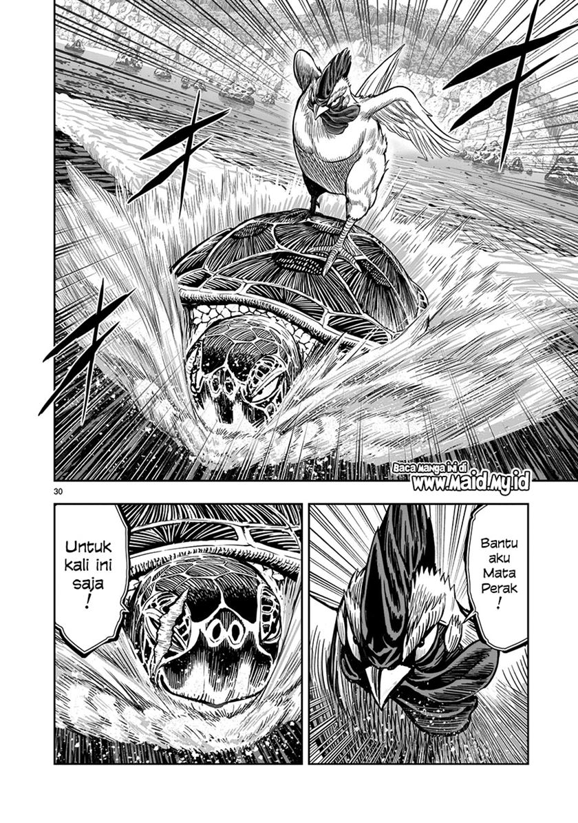 Rooster Fighter Bab 04 halaman 31