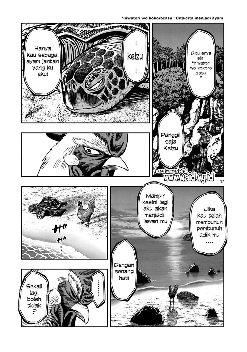 Rooster Fighter Bab 04 halaman 37
