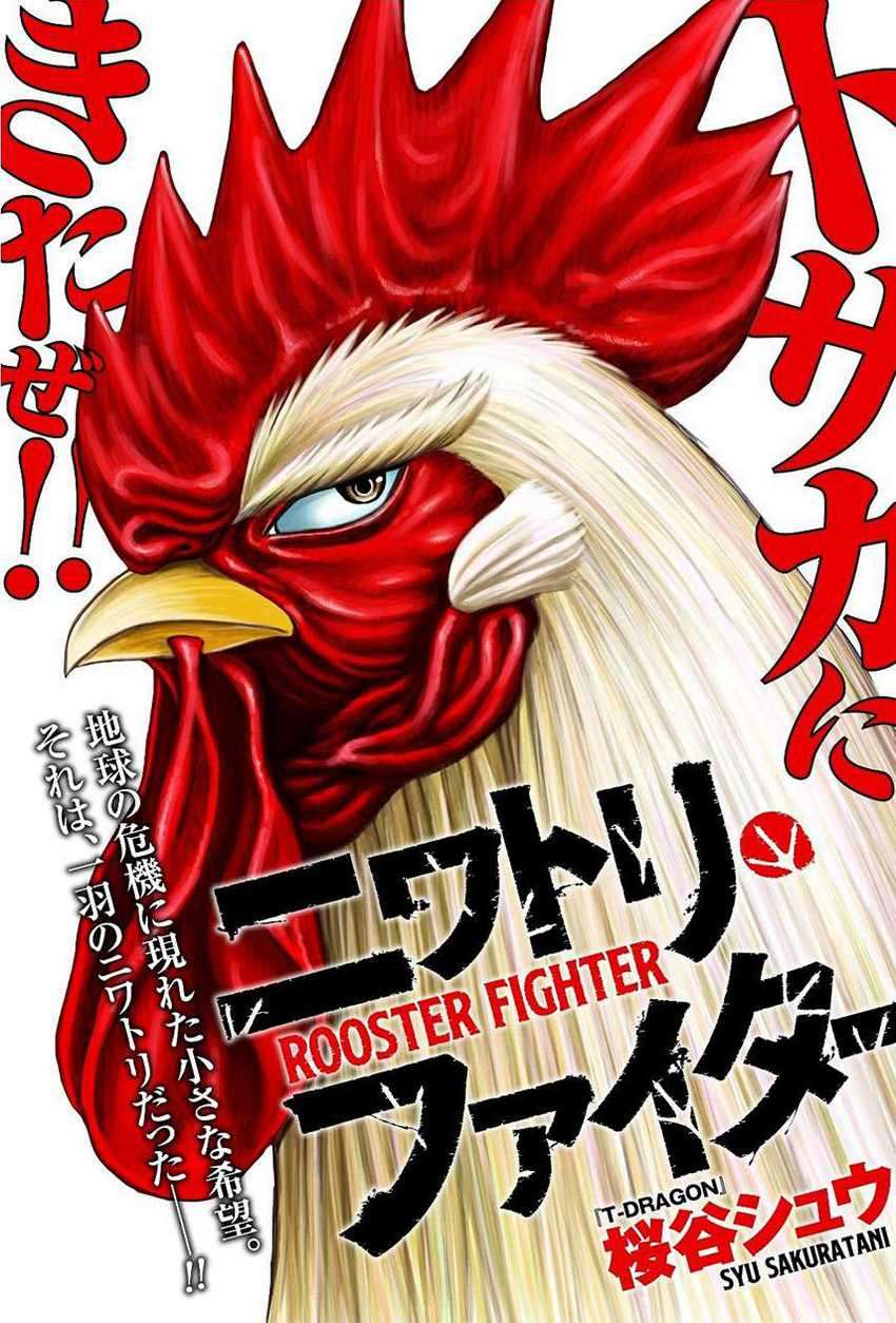 Rooster Fighter Bab 06 halaman 1