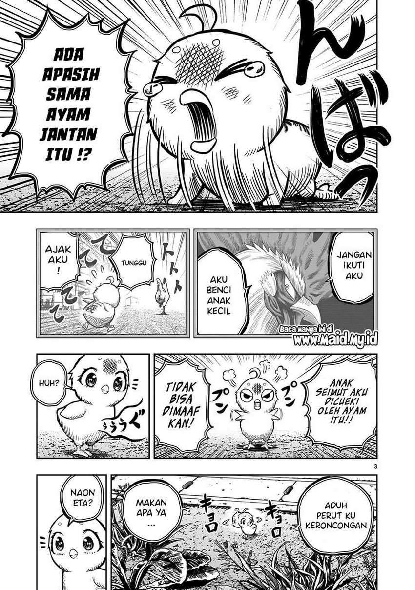 Rooster Fighter Bab 06 halaman 5