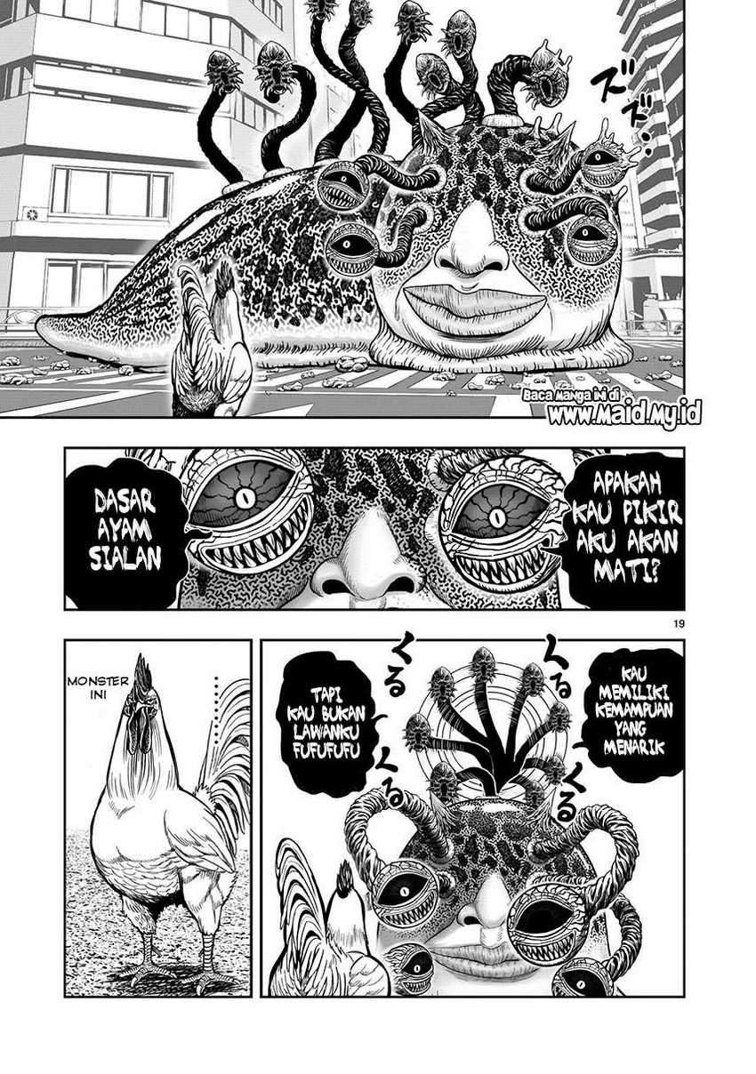 Rooster Fighter Bab 06 halaman 21