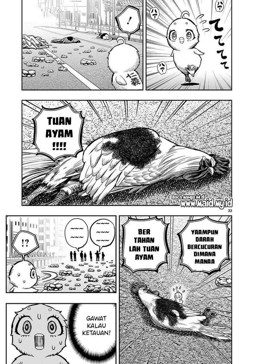 Rooster Fighter Bab 06 halaman 35
