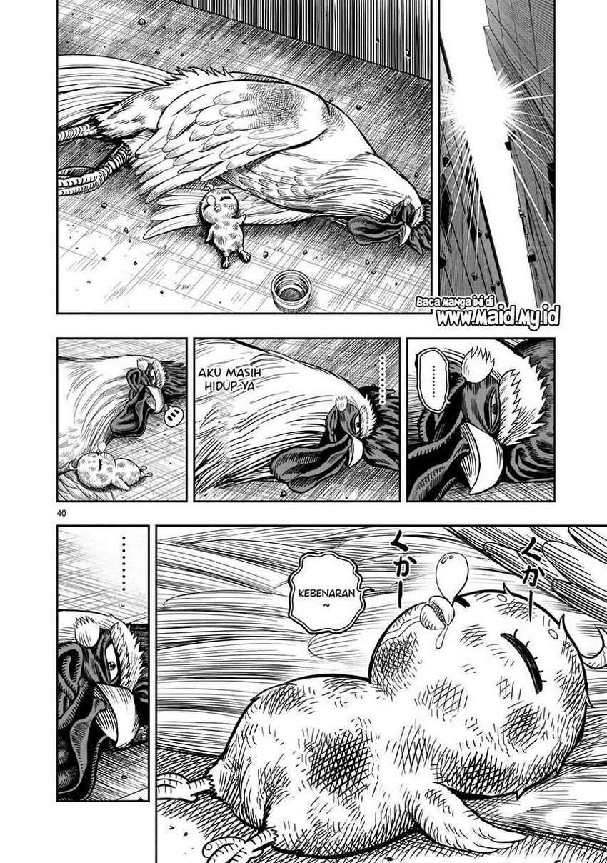 Rooster Fighter Bab 06 halaman 42