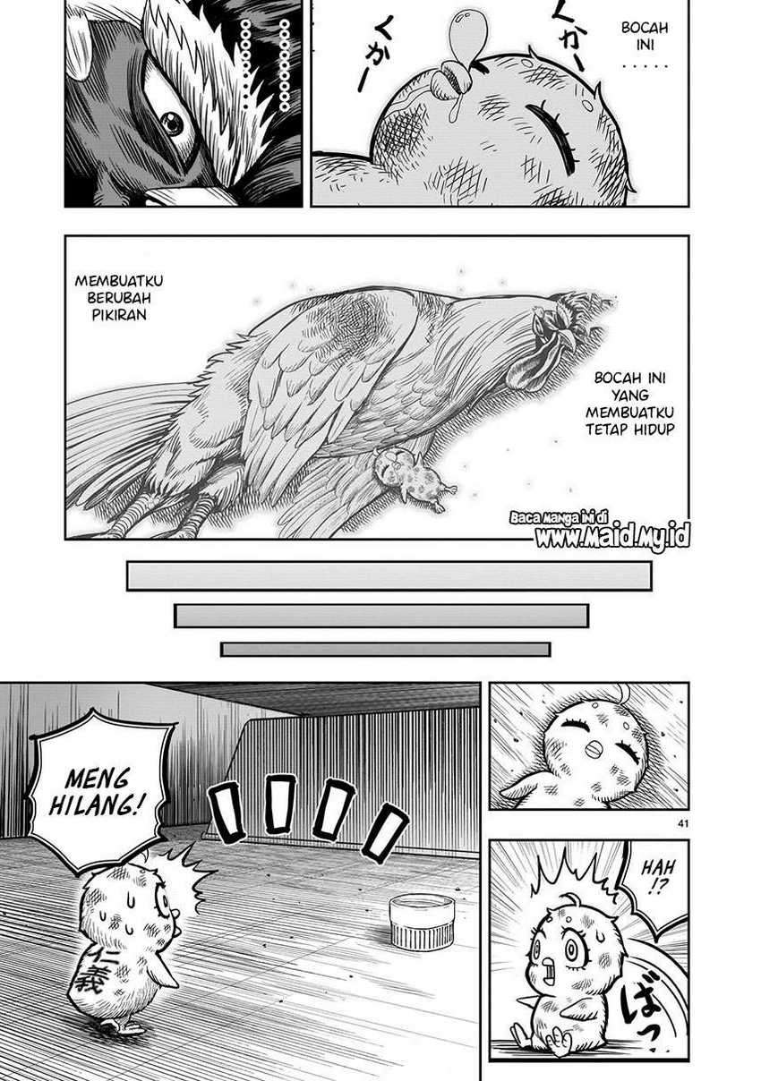 Rooster Fighter Bab 06 halaman 43