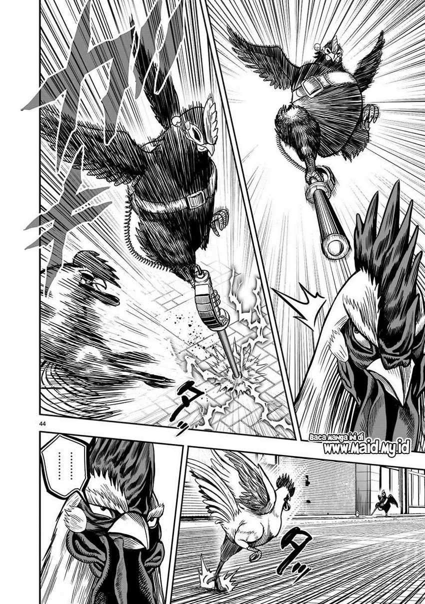 Rooster Fighter Bab 06 halaman 46