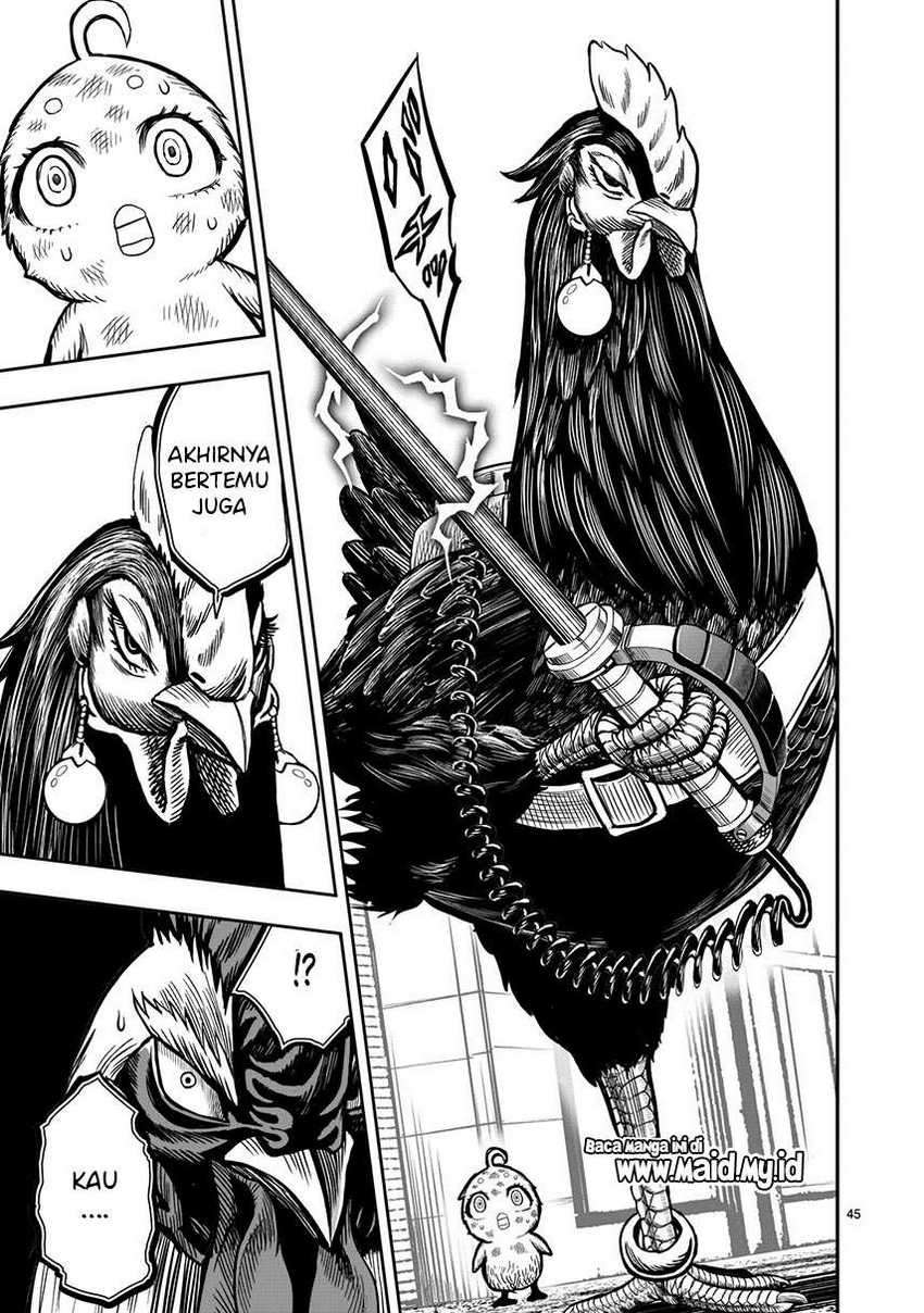 Rooster Fighter Bab 06 halaman 47