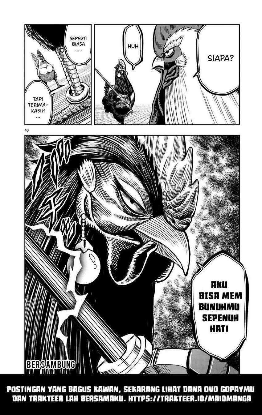 Rooster Fighter Bab 06 halaman 48