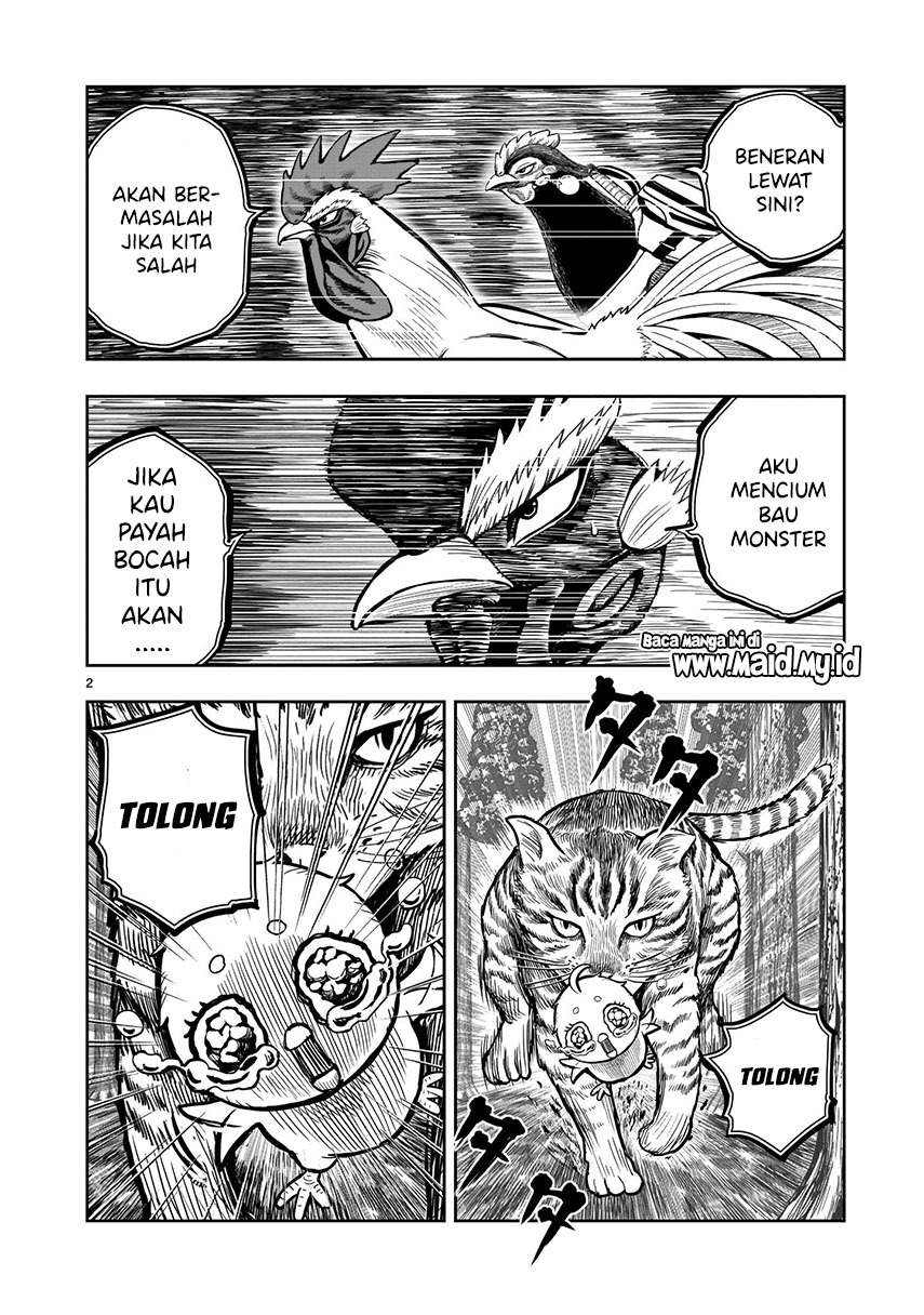 Rooster Fighter Bab 09 halaman 4