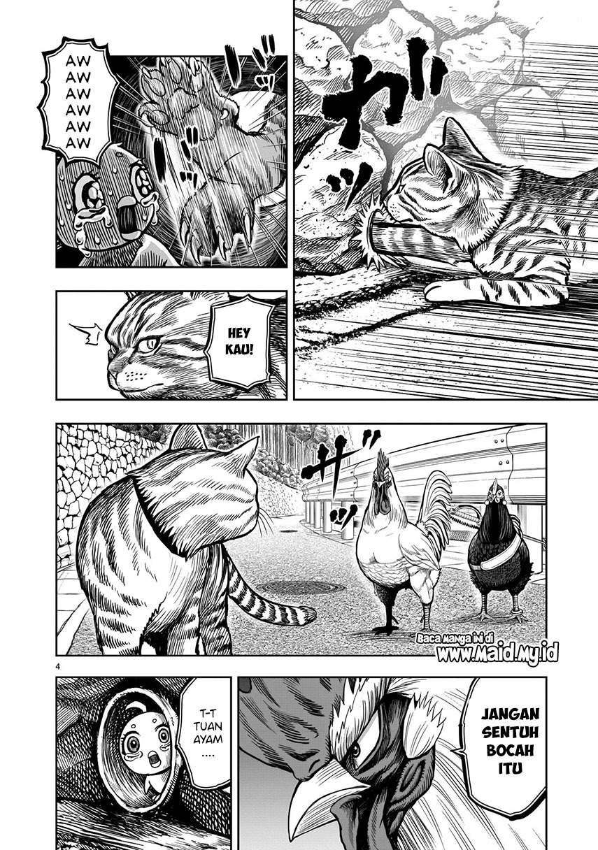 Rooster Fighter Bab 09 halaman 6